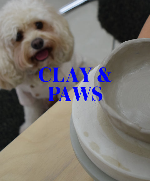 NOVEMBER | CLAY & PAWS | 1-teiliger töpferkurs